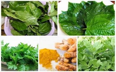 Mách bạn thuốc nam trị bệnh trĩ hiệu quả