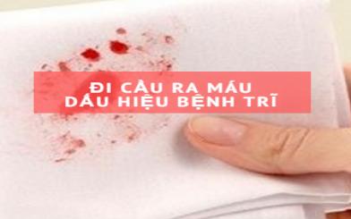 Triệu chứng đi cầu ra máu tươi là bệnh gì?